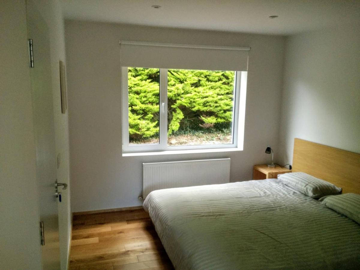 Spacious Contemporary Chalet Type Apartment. Galway Exterior photo