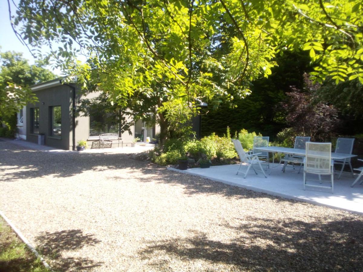 Spacious Contemporary Chalet Type Apartment. Galway Exterior photo